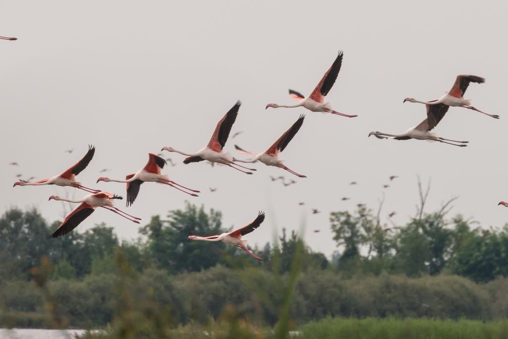 Valgrande Bibione Casone Villa Buitenkant foto