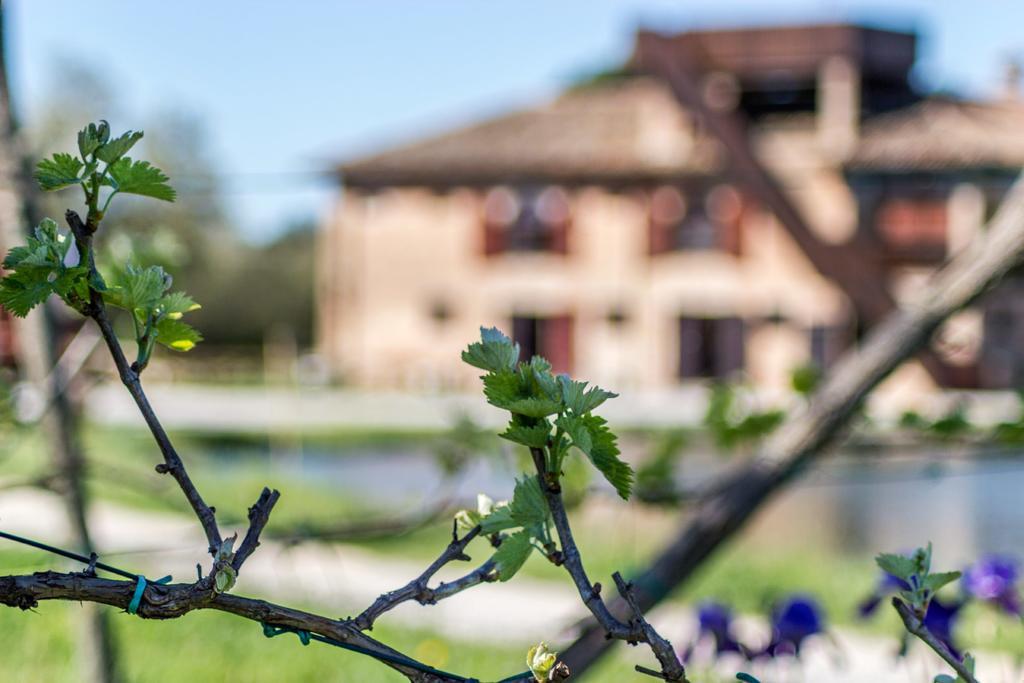 Valgrande Bibione Casone Villa Buitenkant foto
